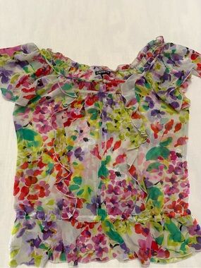 Vintage Express Sheer Watercolor Floral Ruffle Blouse L